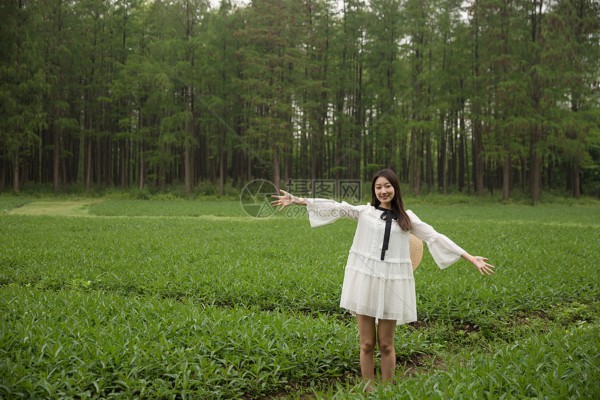 武汉茶叶城茶香飘，价格透明一杯情